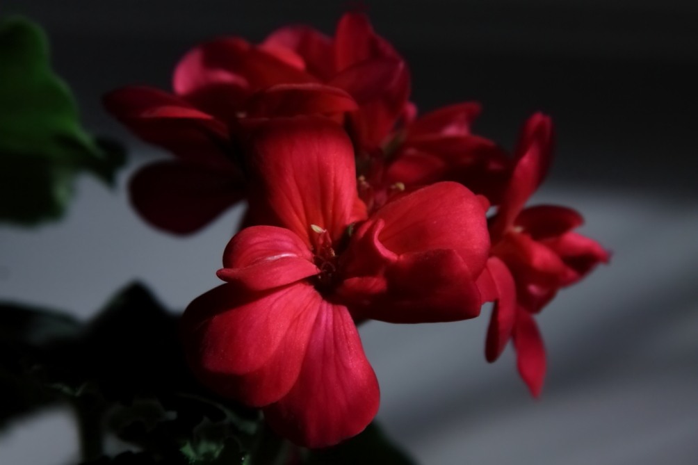 2012 02 10 6403e